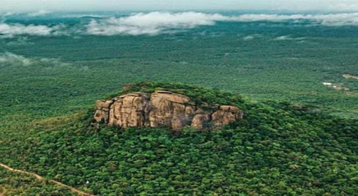 डीएफओ वन रेणुकूट: कमल कुमार संयम और कर्तव्यनिष्ठा की मिसाल